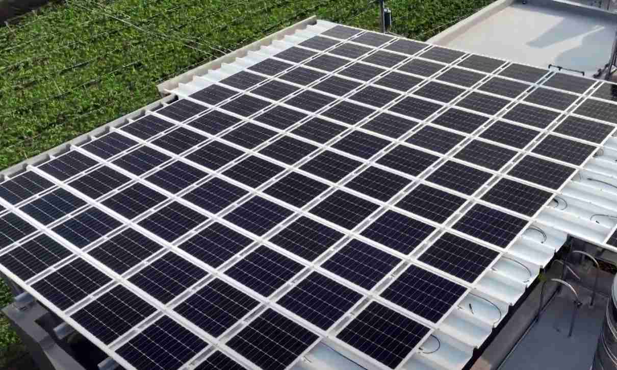 人生就是博SunSteel光电浪板升级双玻结构，，，以提升机械负载强度及气候耐候度，，，，可广泛运用于多元场域