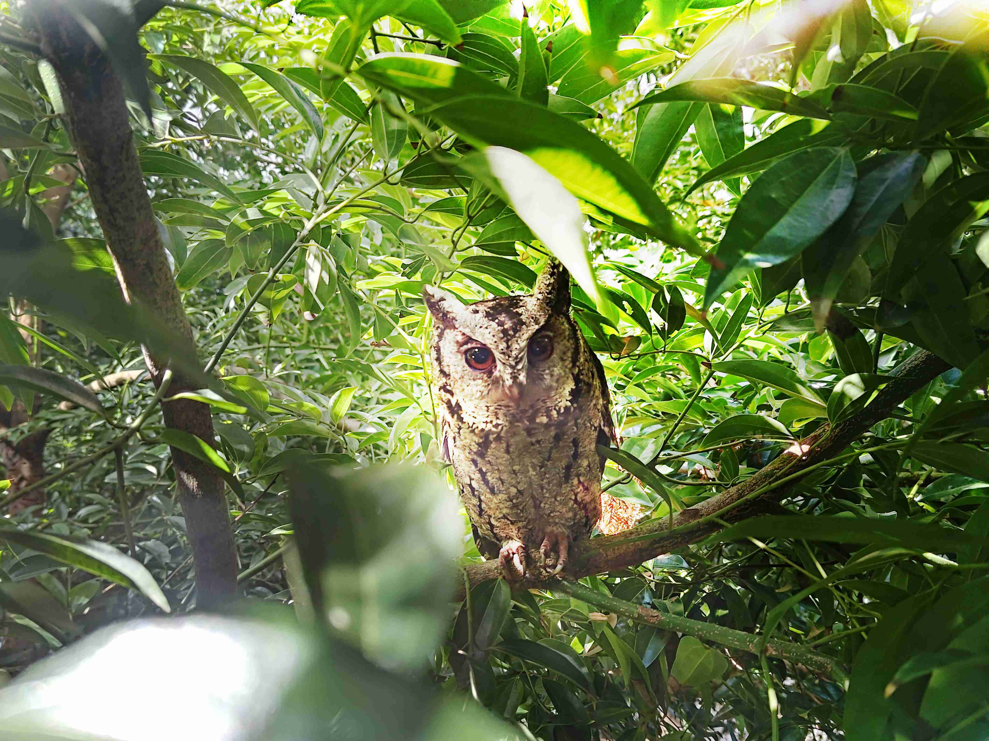 人生就是博致力提倡净零绿生活，，16年以来在全球各厂区植树逾百万棵，，，造就各厂区树木蔚然成林，，，，犹如森林工厂，，，，成为许多生物的栖息地